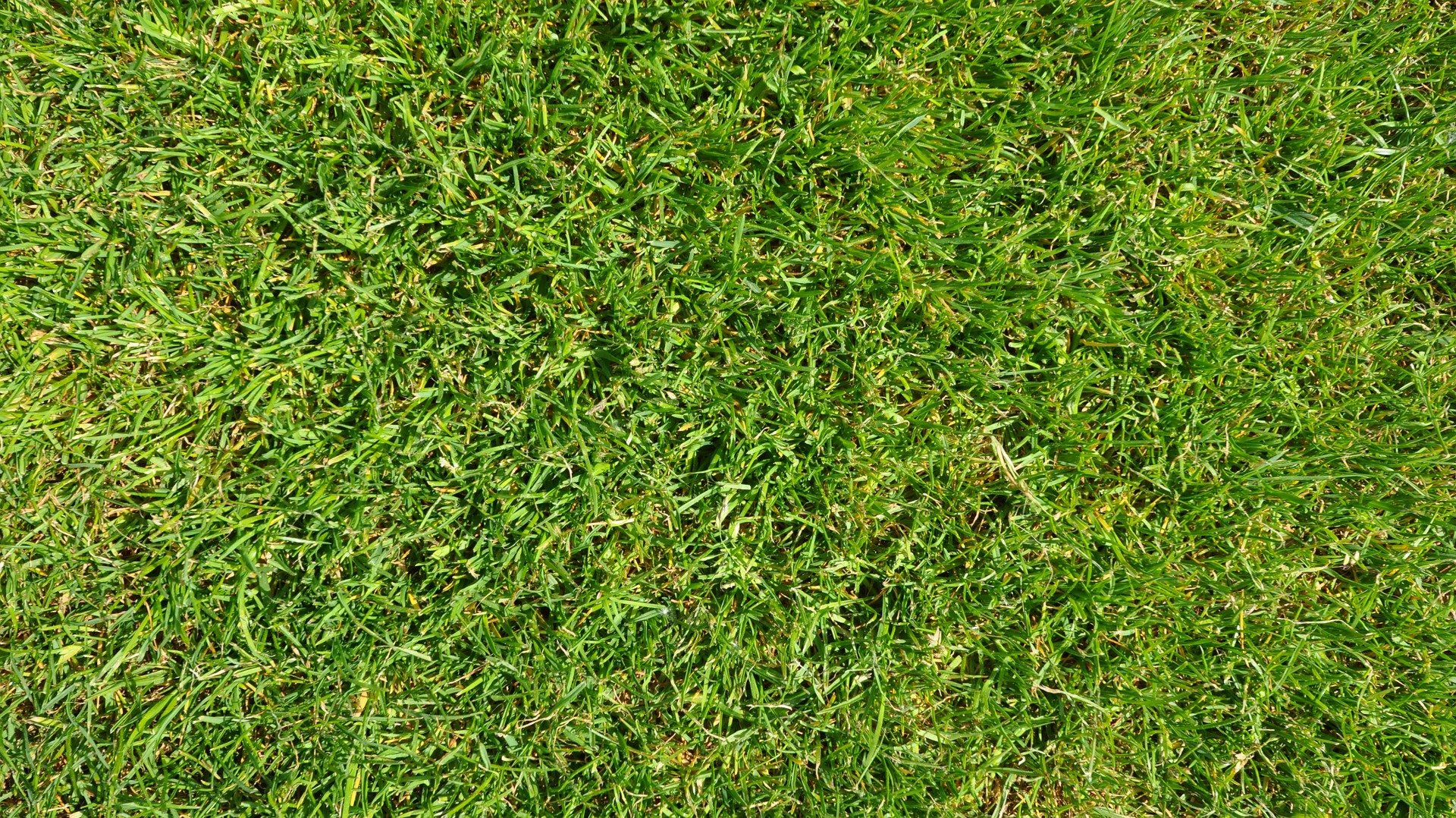 Sportanlage des ETuS Bissingheim